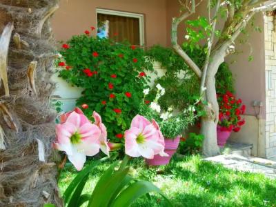 Sun Rise Apartments - 19