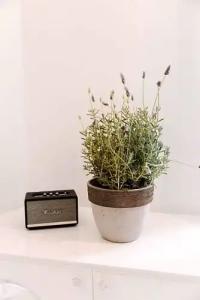 5 Hermoupolis Concept Sites - 31