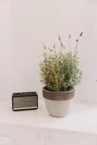 5 Hermoupolis Concept Sites - 130