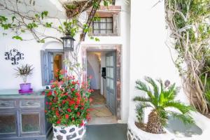 Alexander's Suites, Oia