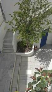 Olympic Villas - 112