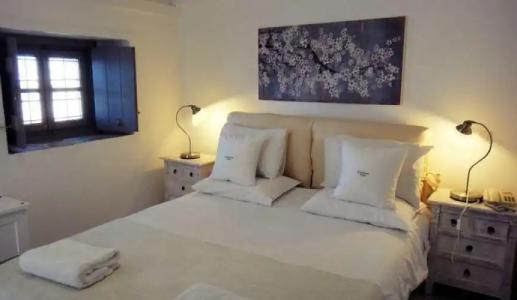 Bellevalia - Formerly Four Seasons - 49