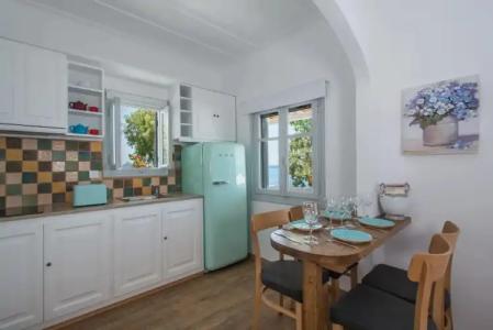 Bellevalia - Formerly Four Seasons - 123