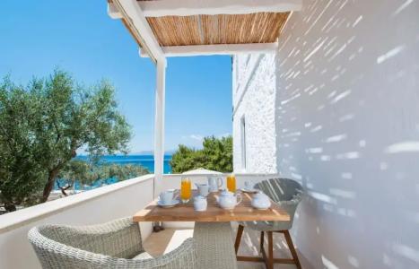 Bellevalia - Formerly Four Seasons - 25