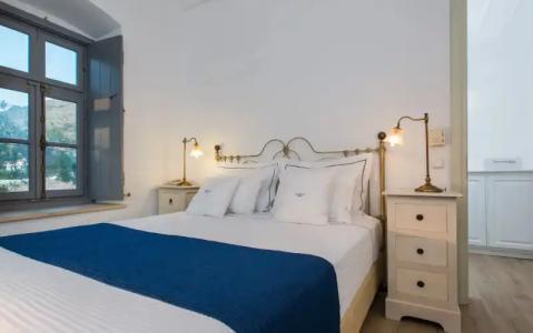 Bellevalia - Formerly Four Seasons - 29