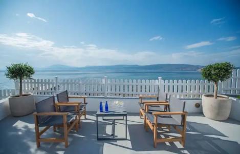 Bellevalia - Formerly Four Seasons - 101