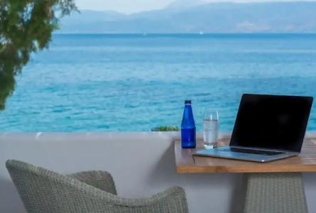 Bellevalia - Formerly Four Seasons - 85