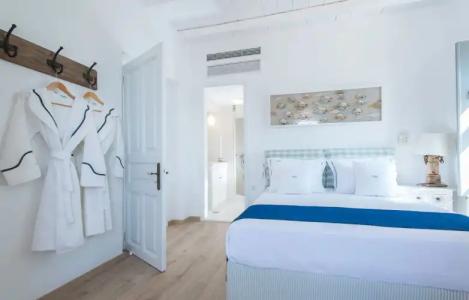 Bellevalia - Formerly Four Seasons - 60