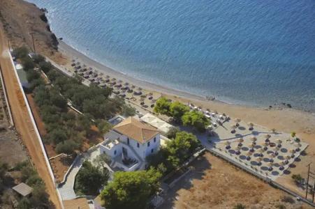 Bellevalia - Formerly Four Seasons - 8