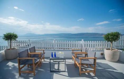 Bellevalia - Formerly Four Seasons - 134