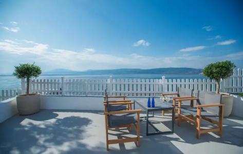 Bellevalia - Formerly Four Seasons - 137