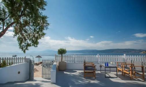 Bellevalia - Formerly Four Seasons - 145