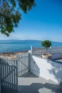 Bellevalia - Formerly Four Seasons - 112