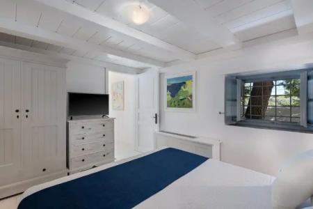 Bellevalia - Formerly Four Seasons - 37