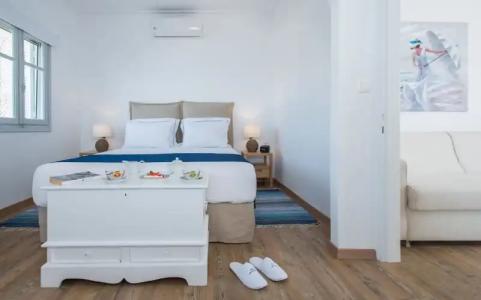 Bellevalia - Formerly Four Seasons - 106