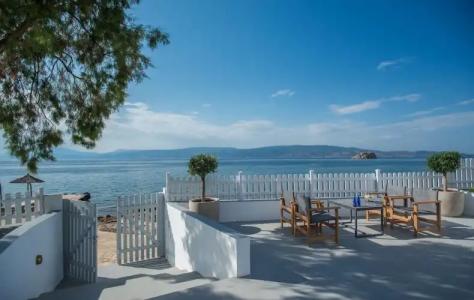 Bellevalia - Formerly Four Seasons - 105