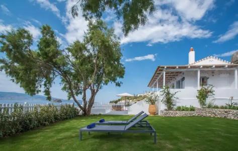 Bellevalia - Formerly Four Seasons - 104