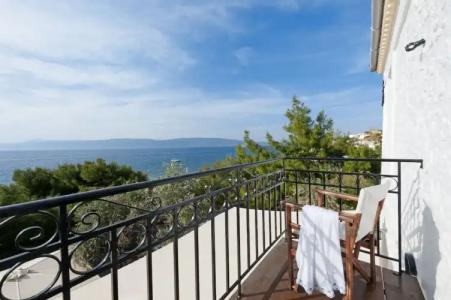 Bellevalia - Formerly Four Seasons - 80