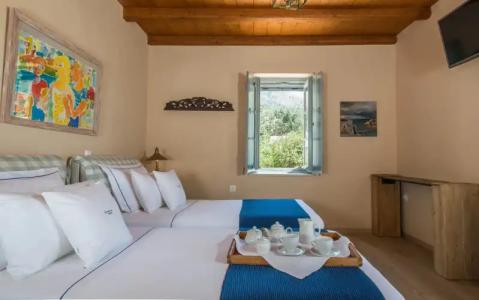 Bellevalia - Formerly Four Seasons - 28