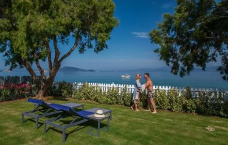 Bellevalia - Formerly Four Seasons - 135