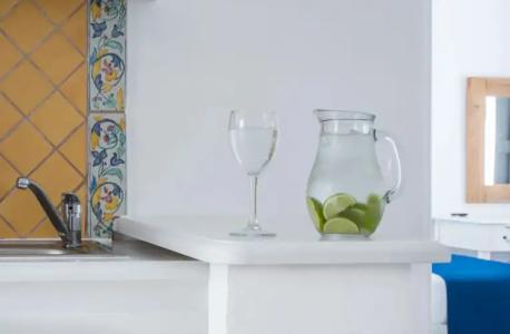 Bellevalia - Formerly Four Seasons - 59