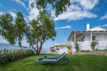 Bellevalia - Formerly Four Seasons - 7