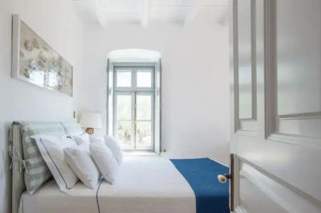 Bellevalia - Formerly Four Seasons - 57