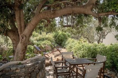 Bellevalia - Formerly Four Seasons - 41