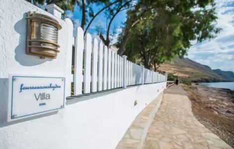 Bellevalia - Formerly Four Seasons - 136