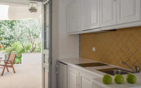 Bellevalia - Formerly Four Seasons - 63