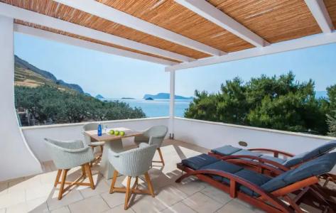 Bellevalia - Formerly Four Seasons - 61