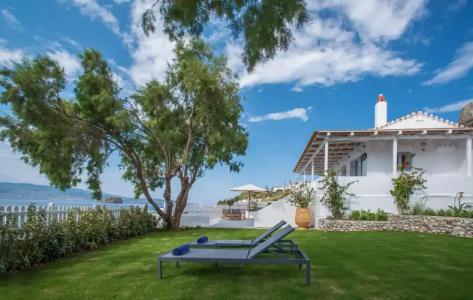 Bellevalia - Formerly Four Seasons - 138