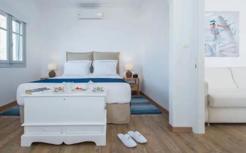 Bellevalia - Formerly Four Seasons - 140