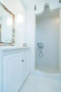 Bellevalia - Formerly Four Seasons - 50