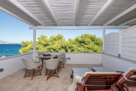 Bellevalia - Formerly Four Seasons - 75