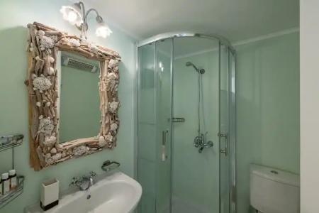 Bellevalia - Formerly Four Seasons - 40