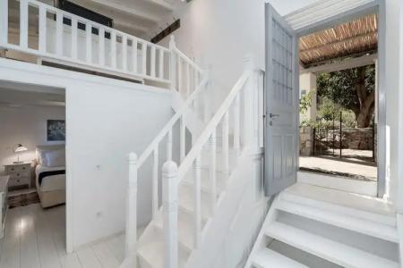 Bellevalia - Formerly Four Seasons - 38