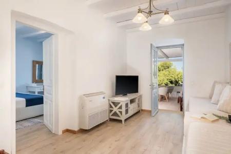 Bellevalia - Formerly Four Seasons - 69