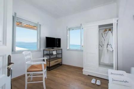 Bellevalia - Formerly Four Seasons - 90