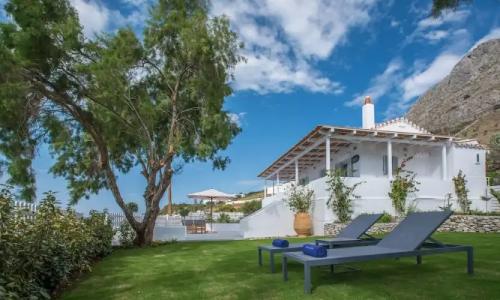 Bellevalia - Formerly Four Seasons - 108