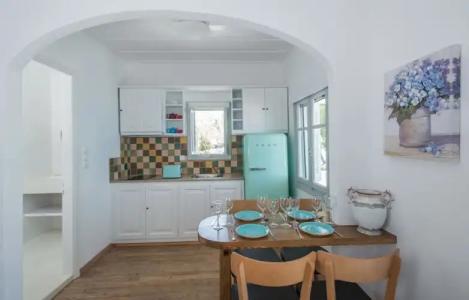 Bellevalia - Formerly Four Seasons - 100