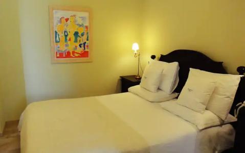 Bellevalia - Formerly Four Seasons - 62