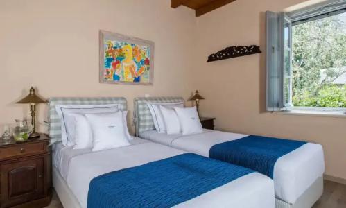 Bellevalia - Formerly Four Seasons - 32