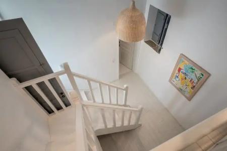 Bellevalia - Formerly Four Seasons - 44