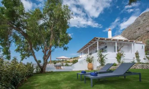 Bellevalia - Formerly Four Seasons - 142