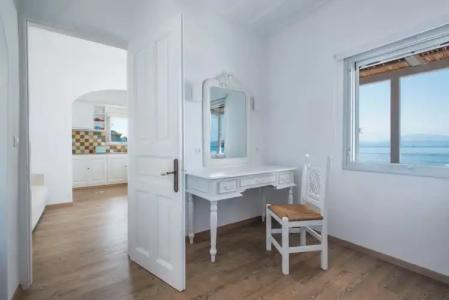 Bellevalia - Formerly Four Seasons - 126