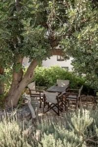 Bellevalia - Formerly Four Seasons - 46