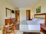 Double Junior Suite with pool view