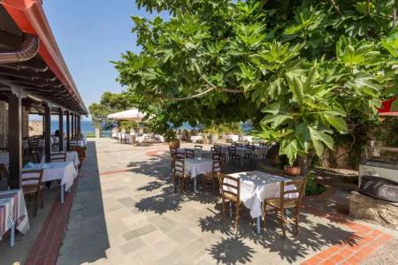 Mitsis Alexander the Great - 20