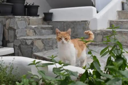 Zacharakis Studios - 24